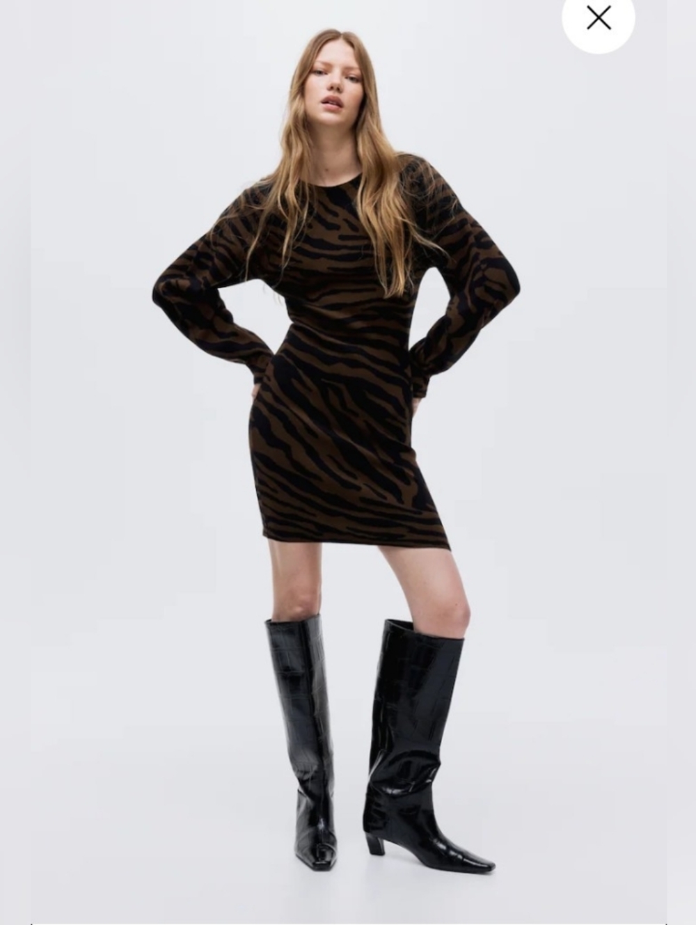 H&M Zebra Print Dress Small BNWT